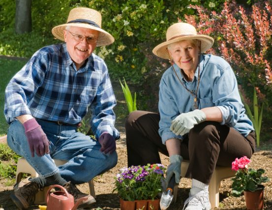 Aînés qui jardinent